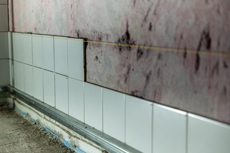 Vægfliser sættes op efter snor over det forberedte underlag – flisearbejde ved renovering af badeværelse